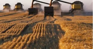 ارتفاع الصادرات الزراعية الروسية